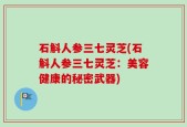 石斛人参三七灵芝(石斛人参三七灵芝：美容健康的秘密武器)