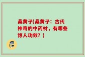桑黄子(桑黄子：古代神奇的中药材，有哪些惊人功效？)