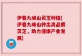 伊春九峰山灵芝种植(伊春九峰山种出高品质灵芝，助力健康产业发展)