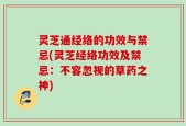灵芝通经络的功效与禁忌(灵芝经络功效及禁忌：不容忽视的草药之神)