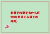 紫灵芝和灵芝有什么区别吗(紫灵芝与灵芝的异同)