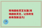 现场回收灵芝文案(现场回收灵芝，让你的生命焕发新活力)