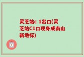 灵芝站c 1出口(灵芝站C1口现身成南山新地标)