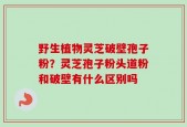 野生植物灵芝破壁孢子粉？灵芝孢子粉头道粉和破壁有什么区别吗