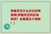 种植灵芝什么价位好呢视频(种植灵芝的价格如何？去看看这个视频！)