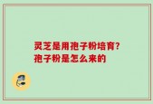 灵芝是用孢子粉培育？孢子粉是怎么来的