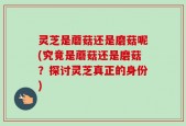 灵芝是蘑菇还是磨菇呢(究竟是蘑菇还是磨菇？探讨灵芝真正的身份)