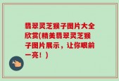 翡翠灵芝猴子图片大全欣赏(精美翡翠灵芝猴子图片展示，让你眼前一亮！)