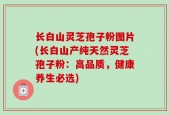 长白山灵芝孢子粉图片(长白山产纯天然灵芝孢子粉：高品质，健康养生必选)
