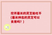 挖开墓长的灵芝能吃不(墓长种出的灵芝可以食用吗？)