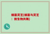 细菌灵芝(细菌与灵芝：微生物共舞)