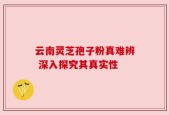 云南灵芝孢子粉真难辨 深入探究其真实性
