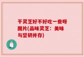 干灵芝好不好吃一些呀图片(品味灵芝：美味与坚韧并存)