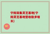 宁阳蒋集灵芝基地(宁阳灵芝基地营收稳步增长)