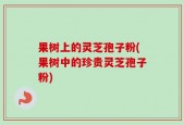 果树上的灵芝孢子粉(果树中的珍贵灵芝孢子粉)