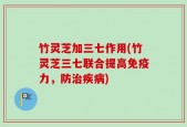 竹灵芝加三七作用(竹灵芝三七联合提高免疫力，防治疾病)