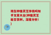 现在种植灵芝挣钱吗知乎文章大全(种植灵芝能否获利，深度分析！)