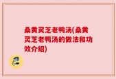 桑黄灵芝老鸭汤(桑黄灵芝老鸭汤的做法和功效介绍)