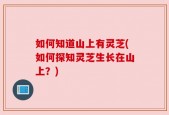 如何知道山上有灵芝(如何探知灵芝生长在山上？)
