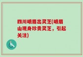 四川峨眉出灵芝(峨眉山现身珍贵灵芝，引起关注)