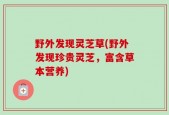 野外发现灵芝草(野外发现珍贵灵芝，富含草本营养)