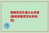 葛根灵芝片是什么作用(解读葛根灵芝片的功效)