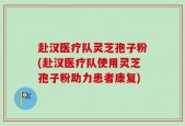 赴汉医疗队灵芝孢子粉(赴汉医疗队使用灵芝孢子粉助力患者康复)