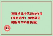 荒野求生中灵芝的作用(荒野求生：探索灵芝的医疗与药用价值)