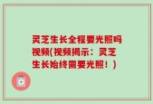 灵芝生长全程要光照吗视频(视频揭示：灵芝生长始终需要光照！)