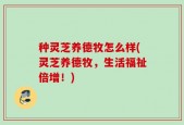 种灵芝养德牧怎么样(灵芝养德牧，生活福祉倍增！)