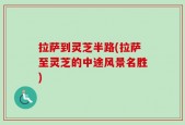 拉萨到灵芝半路(拉萨至灵芝的中途风景名胜)