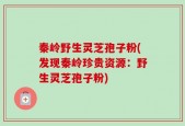 秦岭野生灵芝孢子粉(发现秦岭珍贵资源：野生灵芝孢子粉)