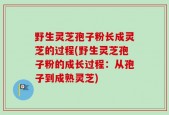野生灵芝孢子粉长成灵芝的过程(野生灵芝孢子粉的成长过程：从孢子到成熟灵芝)