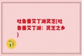 吐鲁番艾丁湖灵芝(吐鲁番艾丁湖：灵芝之乡)