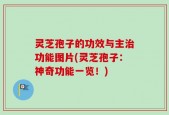 灵芝孢子的功效与主治功能图片(灵芝孢子：神奇功能一览！)