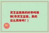 灵芝盆栽真的好养吗视频(养灵芝盆栽，真的这么简单吗？)