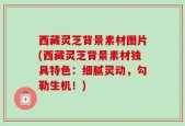 西藏灵芝背景素材图片(西藏灵芝背景素材独具特色：细腻灵动，勾勒生机！)