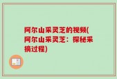 阿尔山采灵芝的视频(阿尔山采灵芝：探秘采摘过程)