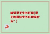 破壁灵芝生长环境(灵芝的最佳生长环境是什么？)