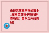 去掉灵芝孢子粉的菌伞_探索灵芝孢子粉的神奇功效：菌伞之外的奥秘)