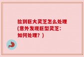 捡到巨大灵芝怎么处理(意外发现巨型灵芝：如何处理？)