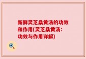 新鲜灵芝桑黄汤的功效和作用(灵芝桑黄汤：功效与作用详解)