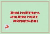 荔枝树上的灵芝有什么功效(荔枝树上的灵芝：神奇的功效与作用)