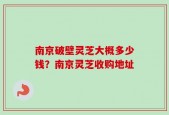 南京破壁灵芝大概多少钱？南京灵芝收购地址
