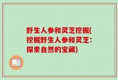 野生人参和灵芝挖掘(挖掘野生人参和灵芝：探索自然的宝藏)