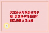 灵芝什么时候会长孢子粉_灵芝孢子粉生成时期及采集方法详解