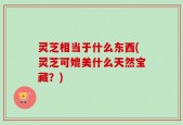 灵芝相当于什么东西(灵芝可媲美什么天然宝藏？)