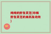 纯纯的野生灵芝(珍稀野生灵芝的来历及功效)