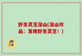 野生灵芝深山(深山珍品：发现野生灵芝！)