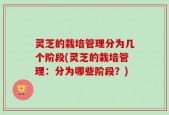 灵芝的栽培管理分为几个阶段(灵芝的栽培管理：分为哪些阶段？)